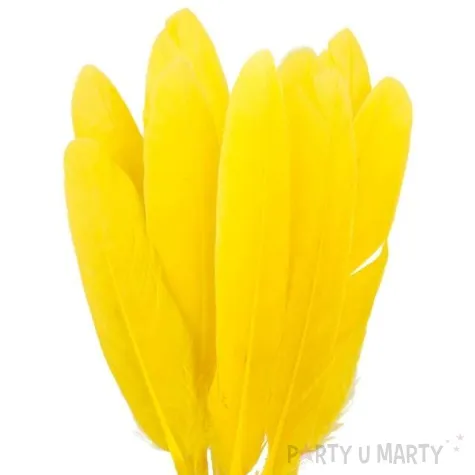 piorka dekoracyjne lotki krotkie zolte czakos 18 szt