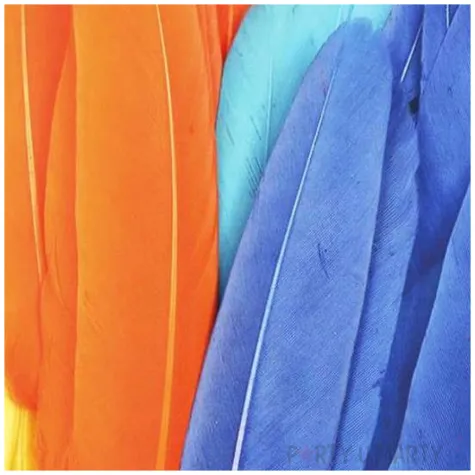 piorka dekoracyjne lotki mix titanum 60 szt