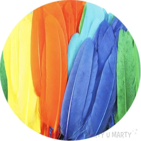 piorka dekoracyjne lotki mix titanum 60 szt