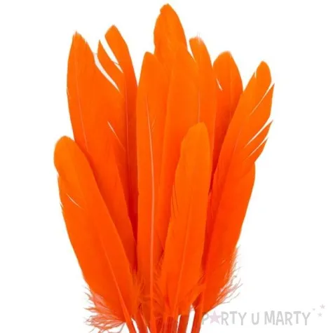 piorka dekoracyjne lotki pomaranczowe czakos 18 szt