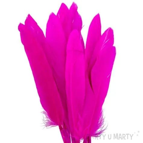 piorka dekoracyjne lotki rozowe ciemne czakos 18 szt