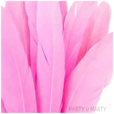 piorka dekoracyjne lotki rozowe czakos 18 szt