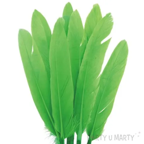 piorka dekoracyjne lotki zielone czakos 18 szt