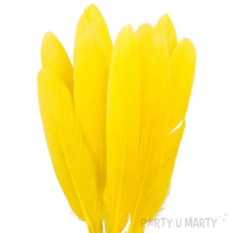 piorka dekoracyjne lotki zolte czakos 18 szt