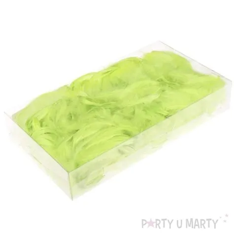 piorka dekoracyjne mietowe pudelko