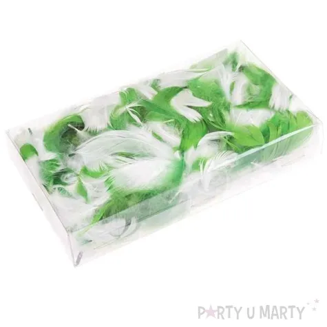 piorka dekoracyjne mix 6 pudelko