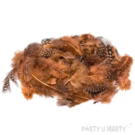 piorka dekoracyjne nakrapiane brazowe brewis 4 10 cm 50 szt