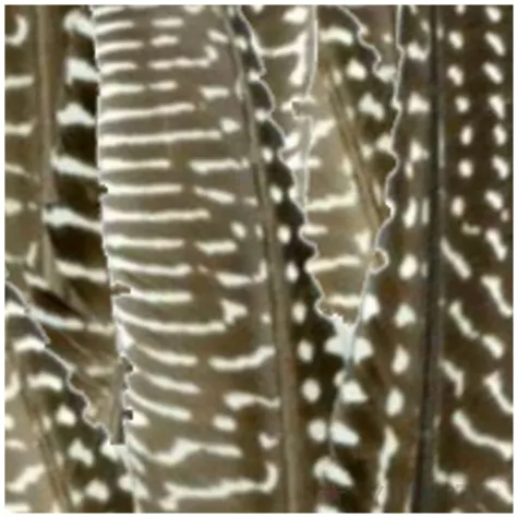 piorka dekoracyjne nakrapiane czarno brazowe aliga 12 18 cm 8 szt