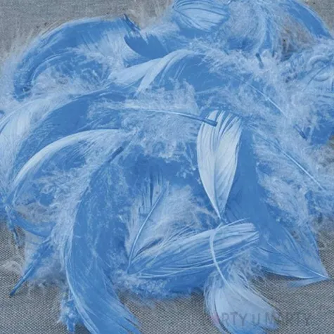 piorka dekoracyjne niebieskie woreczek