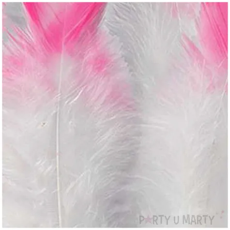 piorka dekoracyjne ombre bialo rozowe titanum 15 szt