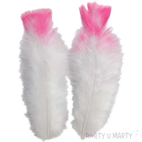 piorka dekoracyjne ombre bialo rozowe titanum 15 szt