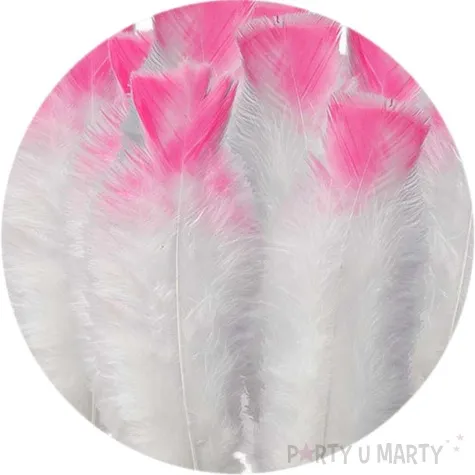 piorka dekoracyjne ombre bialo rozowe titanum 15 szt