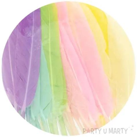 piorka dekoracyjne pastelowe mix aliga 15 cm 40 szt