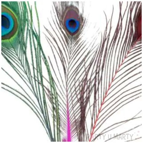 piorka dekoracyjne paw mix aliga 25 30 cm 3 szt