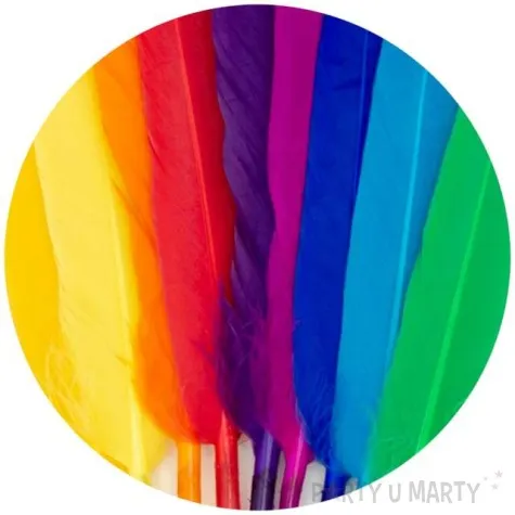 piorka dekoracyjne teczowe mix aliga 15 cm 40 szt