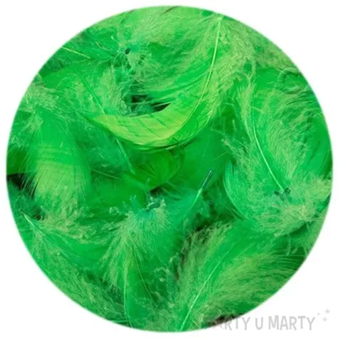 piorka dekoracyjne zielone czakos 10 g