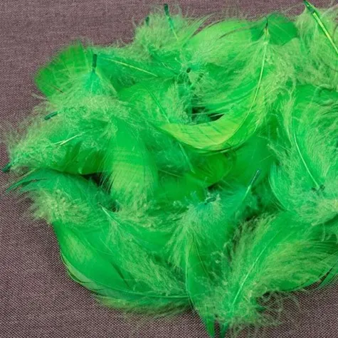 piorka dekoracyjne zielone czakos 10 g