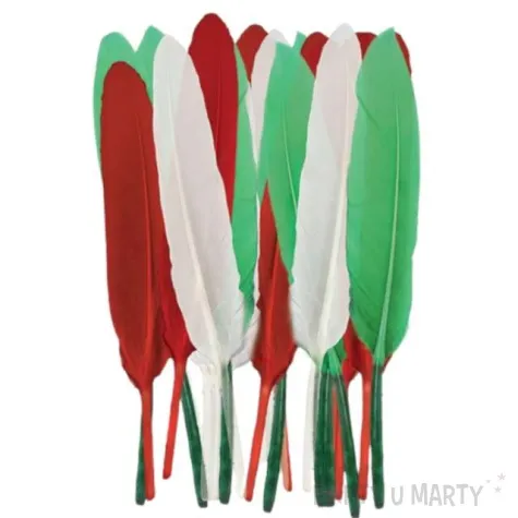 piorka lotki mix titanum 24 szt