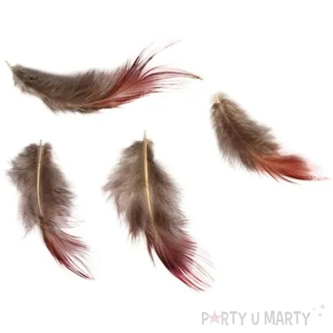 piorka szaro rude titanum 3g