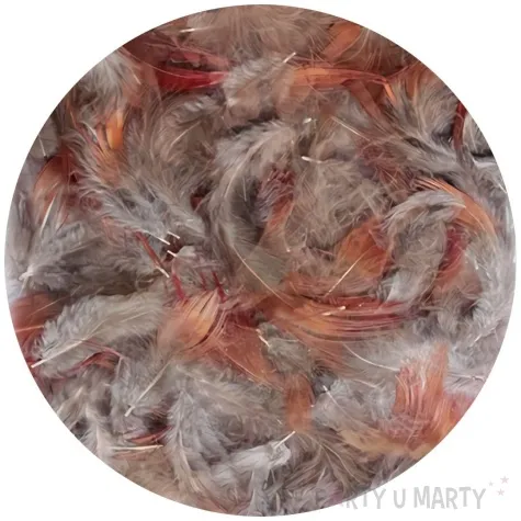 piorka szaro rude titanum 3g