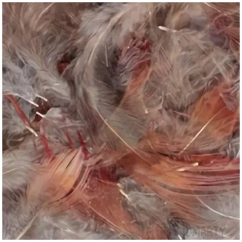 piorka szaro rude titanum 3g