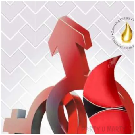 podgrzewacz zapachowy erotic bispol 4h 6 szt