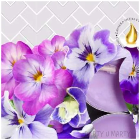 podgrzewacz zapachowy fiolek bispol 4h 6 szt