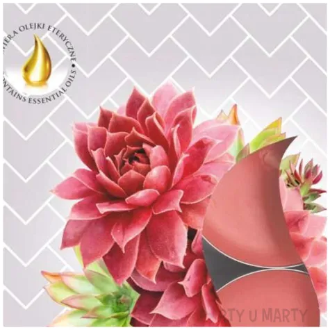 podgrzewacz zapachowy kwiat kaktusa bispol 4h 6 szt