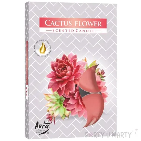 podgrzewacz zapachowy kwiat kaktusa bispol 4h 6 szt