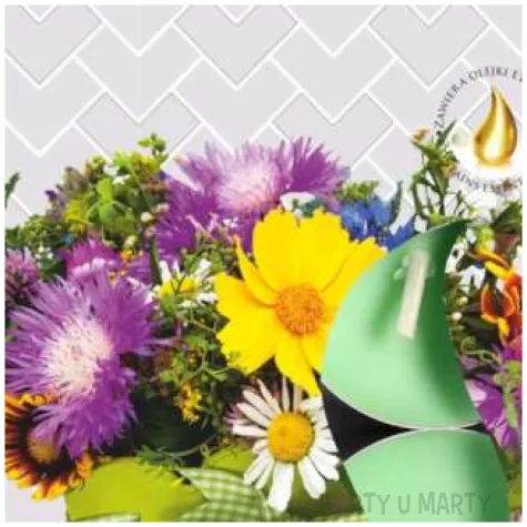 podgrzewacz zapachowy kwiatowa laka bispol 4h 6 szt