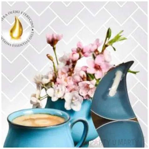 podgrzewacz zapachowy letni poranek bispol 4h 6 szt