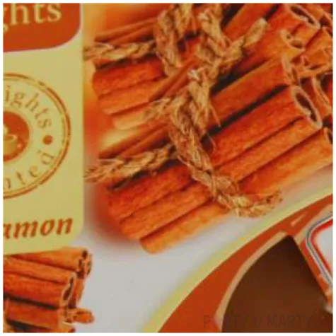 podgrzewacz zapachowy maxi cynamon ravi 4 szt