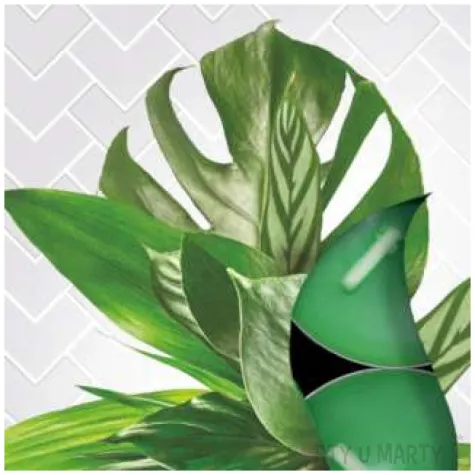 podgrzewacz zapachowy tropikalna wyspa bispol 4h 6 szt