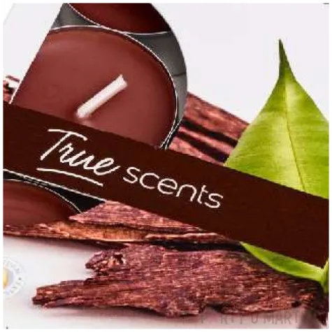 podgrzewacz zapachowy true scents drzewo agarowe brazowy bolsius 4h 6 szt