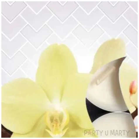 podgrzewacz zapachowy wanilia bispol 4h 6 szt