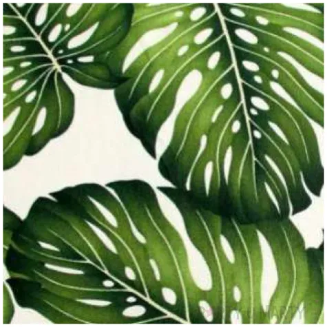 podkladki drewniane monster leaf 6 szt