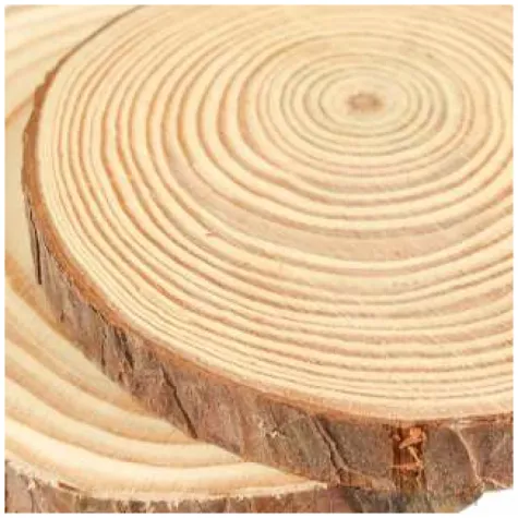 podkladki drewniane plastry drewna arpex 8 cm 2 szt