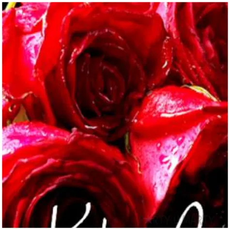 podkladki drewniane roza kocham cie 6 szt