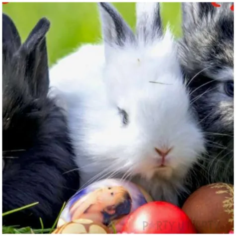 podkladki drewniane wielkanoc trzy kroliczki 6 szt