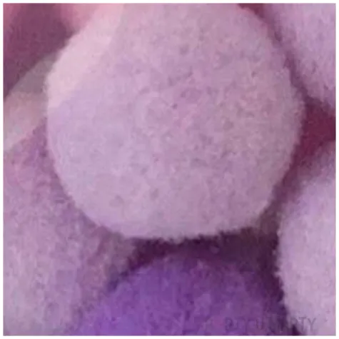 pompony pluszowe classic fioletowe astra 20 mm