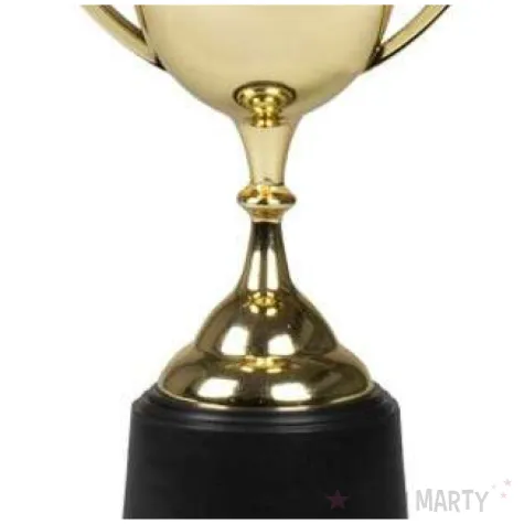 puchar classic zloty boland