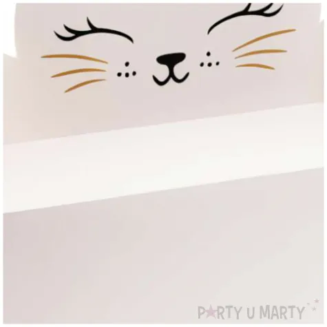 pudelka na ciasto slodki kotek bialy partydeco 6 szt