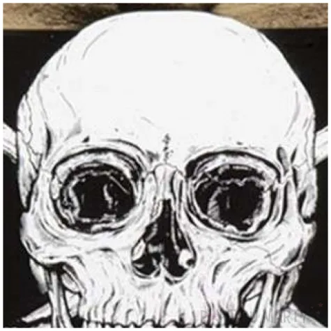 pudelka na popcorn piracka czaszka boland 400 ml 6 szt