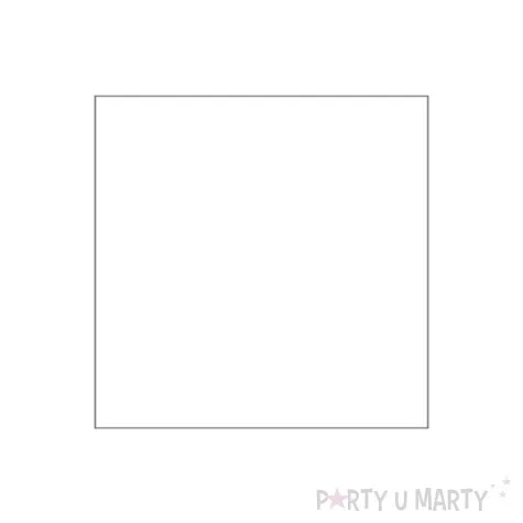 serwetki 25 cm gladkie biale 20 szt