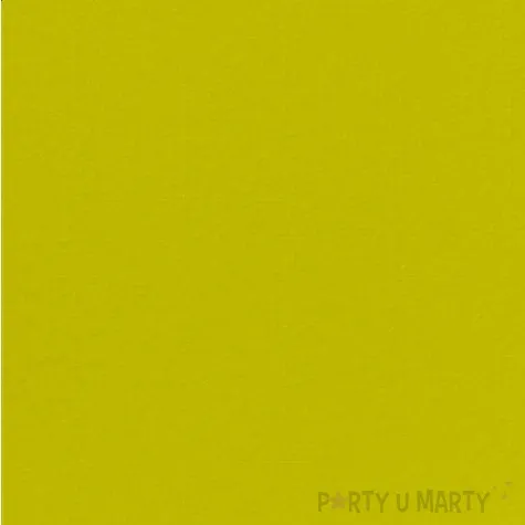 serwetki 40 cm kiwi 12 szt