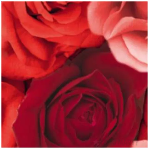 serwetki 40 cm romance 12 szt