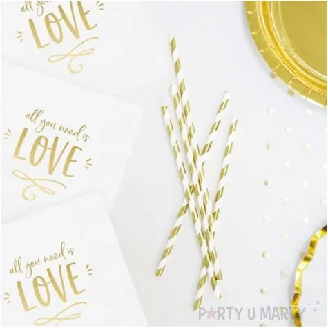 serwetki all you need is love bialy partydeco 33 cm 20 szt