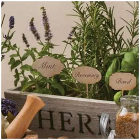 serwetki aromatyczne ziola maki 33 cm 20 szt