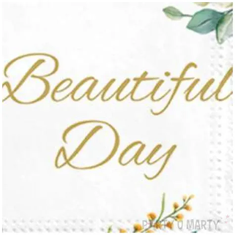 serwetki beautiful day paw 33 cm 20 szt