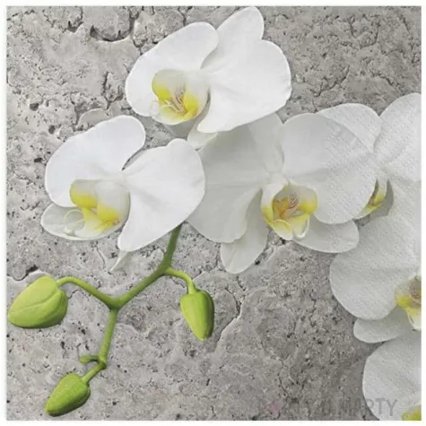 serwetki biala orchidea na szarym tle maki 33 cm 20 szt